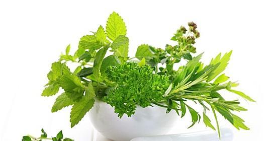 《重建家园》高级药草藏身之处（探索游戏中高级药草的位置与获取方法）