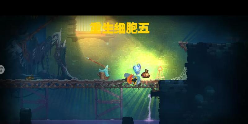 《重生细胞5细胞通关攻略》（重生细胞5细胞通关视频教程分享，轻松突破游戏难关！）