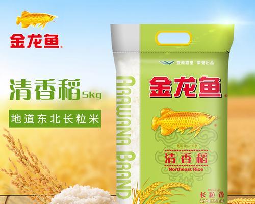 《探秘梦想新大陆，钓到金龙鱼的妙招》（以游戏为主）