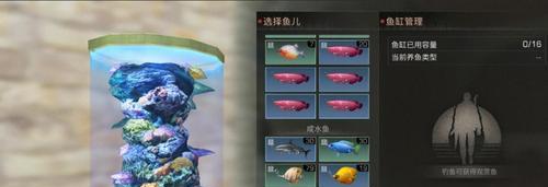 《明日之后》15种鱼钓点大揭秘（玩家必看！掌握这些钓点）