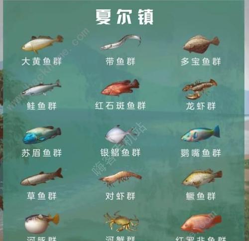 《明日之后》刺激奇幻漂流任务攻略，海上求生路上不再迷茫（详解“刺激奇幻漂流”任务流程）