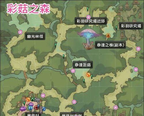 如何正确利用森林地图进行探索（掌握森林地图查看方法）