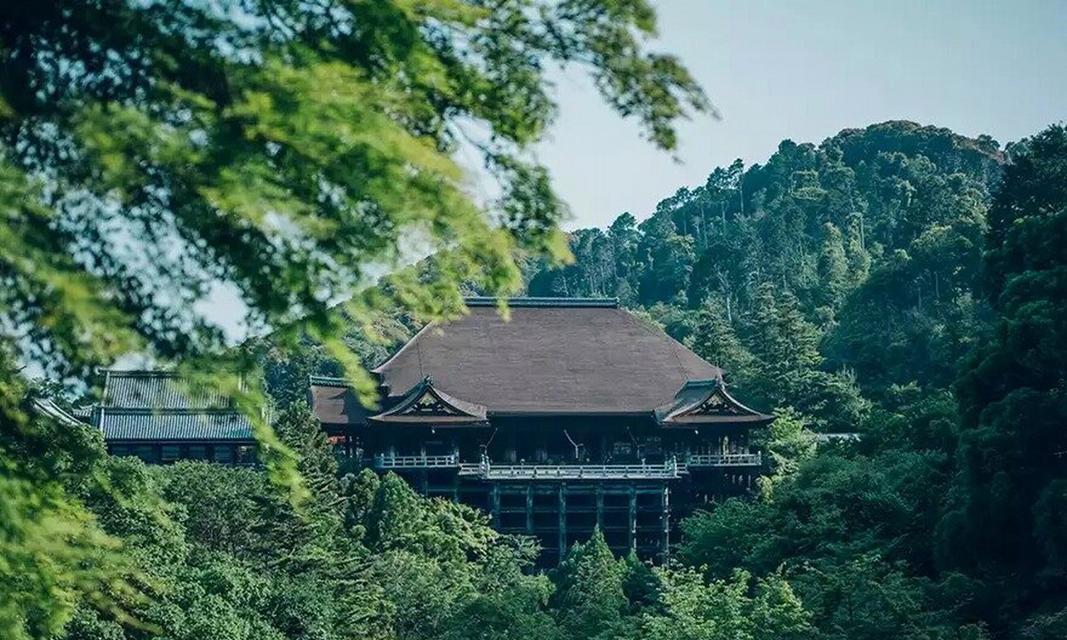 《解锁三重塔，游戏攻略指南》（从零开始）