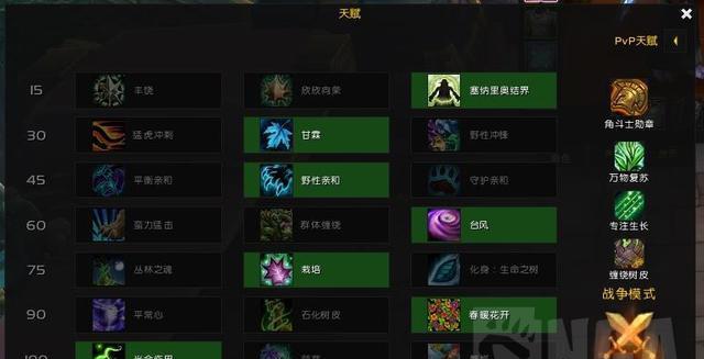 《魔兽世界》100奶德大秘境天赋：掌握一统天下的治疗之道