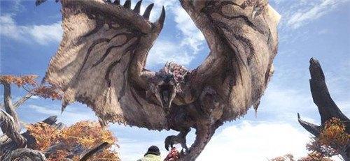 深度揭秘怪物猎人（从外貌到行为）