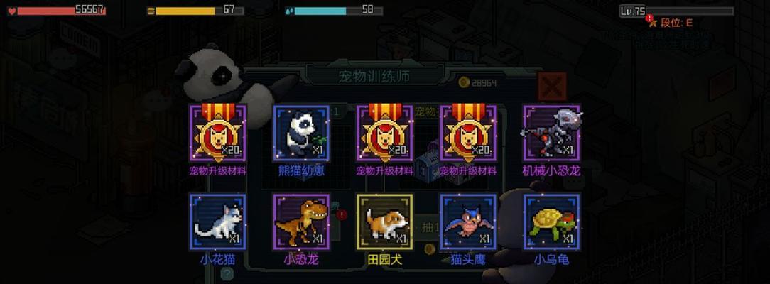 像素危城装备强化攻略（像素危城装备怎么强化-提高战斗力的技巧与方法）