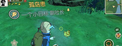 《小森生活猫咪》中如何领养猫咪——一揽子领养途径（游戏中多种方式帮助你找到可爱的猫咪伴侣）
