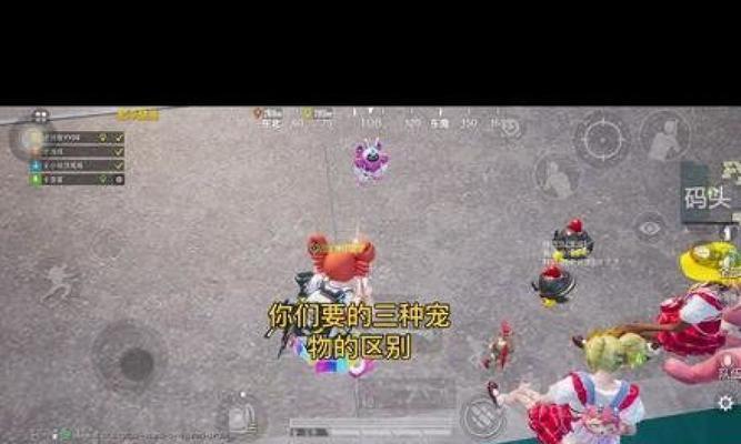 《和平精英宠物系统全面解析》（从获得方式到玩法）