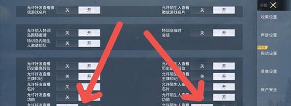 王者荣耀战绩隐藏设置方法（轻松保护个人隐私）