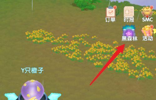 《摩尔庄园手游惊讶萝卜套装获得攻略》（轻松获取稀有套装）