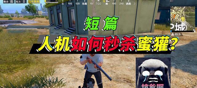 和平精英蜜獾突击步枪属性一览（突袭战场的不二选择）
