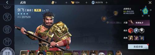 真三国无双霸（打造团队）