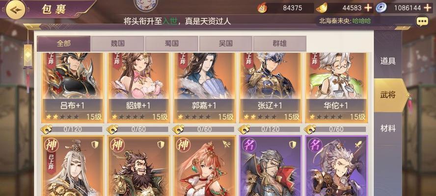 三国志幻想大陆司马铁桶队玩法指南？如何提升战斗效率？