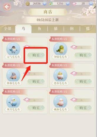 灵猫传猫咪品种有哪些？各品种的特点和常见问题是什么？