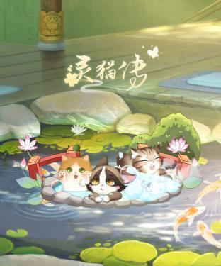 灵猫传提升男主好感度攻略？羁绊系统如何有效提升？