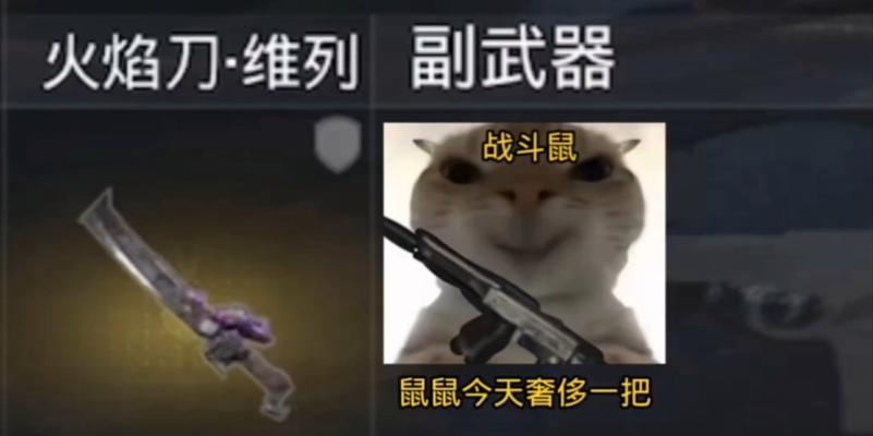梦幻西游老鼠攻击动作有哪些？如何有效利用老鼠攻击？
