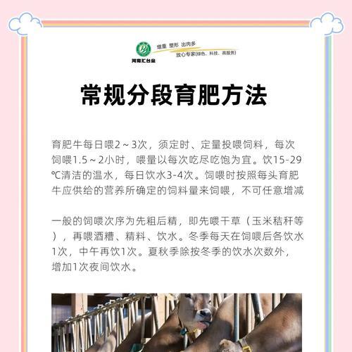 我的世界中如何正确喂养牛？喂牛有哪些好处？