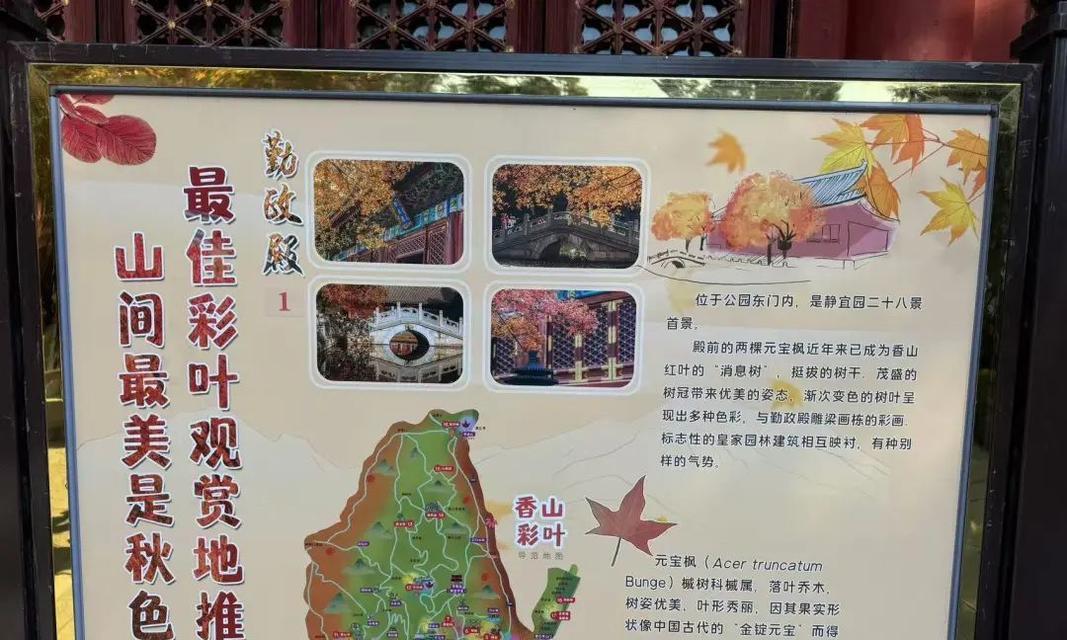 梦幻西游香山红叶为何人气下降？香山红叶玩法有何改变？