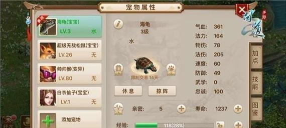 问道中宝宝丢失了怎么办？找回宝宝的正确步骤是什么？