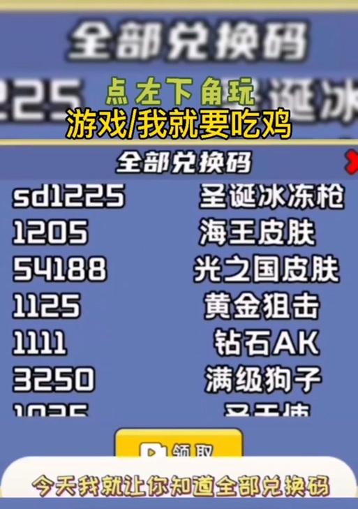 绝地求生中兑换码金币的使用方法是什么？