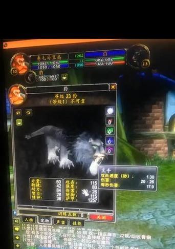 大鳄魔兽世界中如何玩得更好？有哪些技巧和建议？