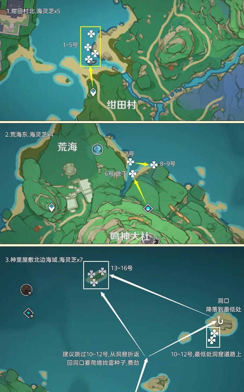 原神中被救海豹的具体位置是什么？