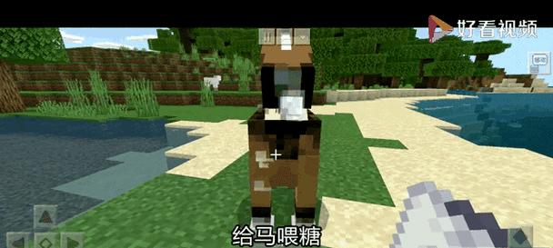 我的世界中如何驯服并骑马？