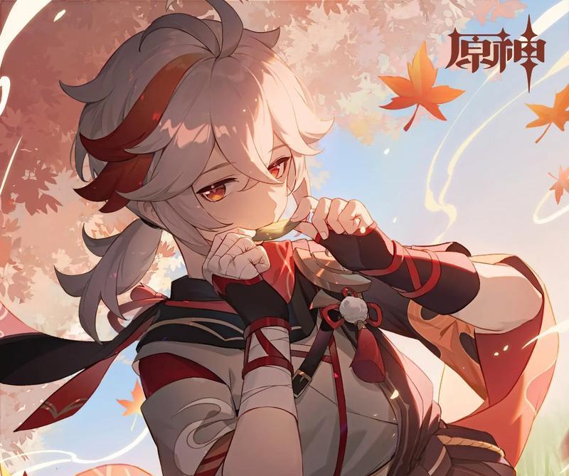 在《原神》中如何召唤海鸥？