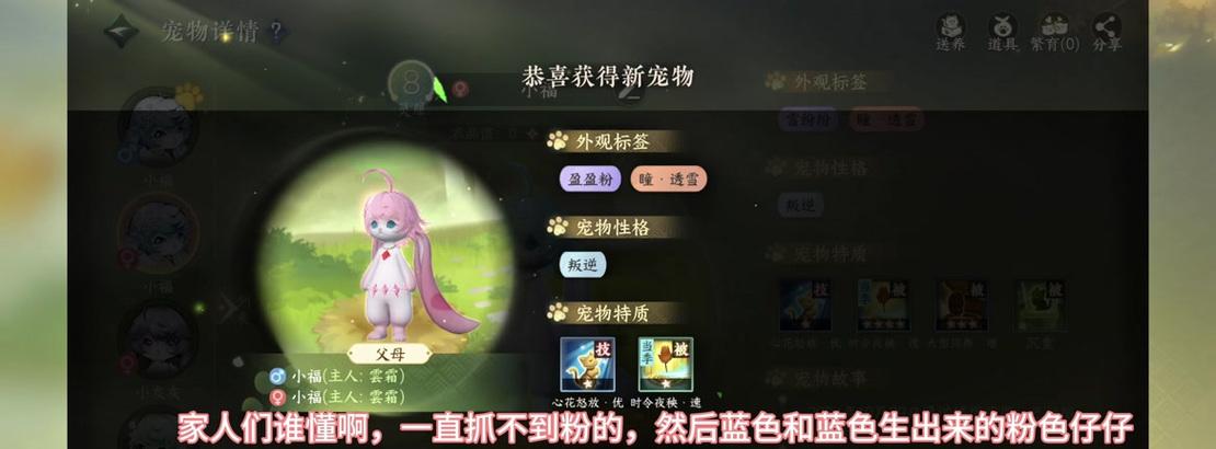 手游中宠物可以吞噬哪些物品？