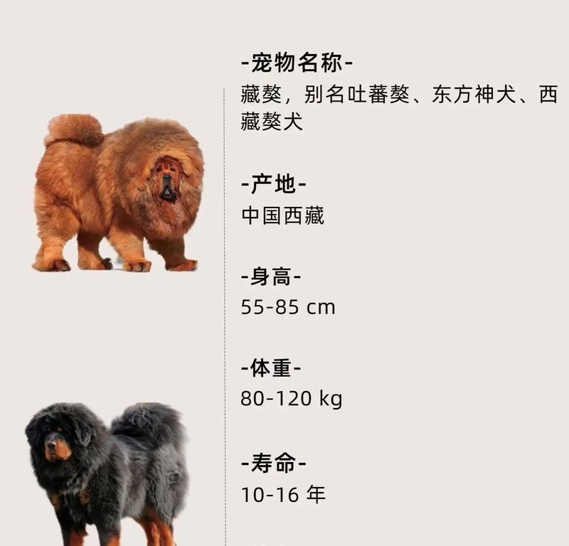 魔兽世界中复生獒犬的捕捉方法是什么？捕捉的难点在哪里？