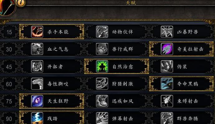 魔兽世界霸道玩法有哪些？如何快速上手？