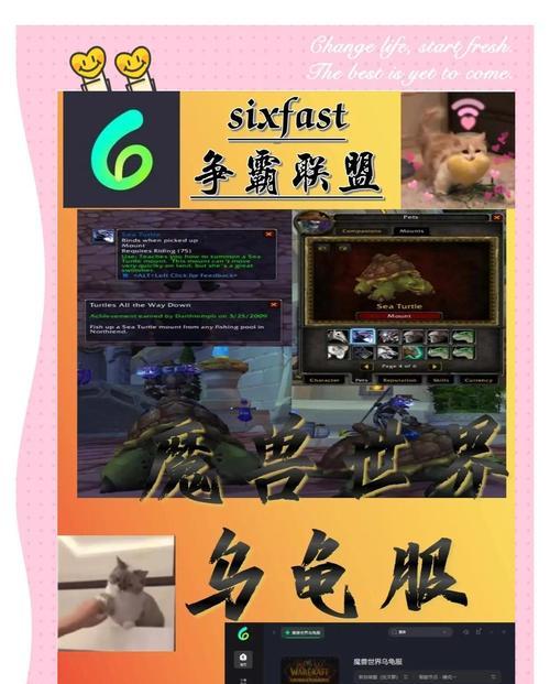 魔兽世界乌龟服如何获取？需要哪些步骤？