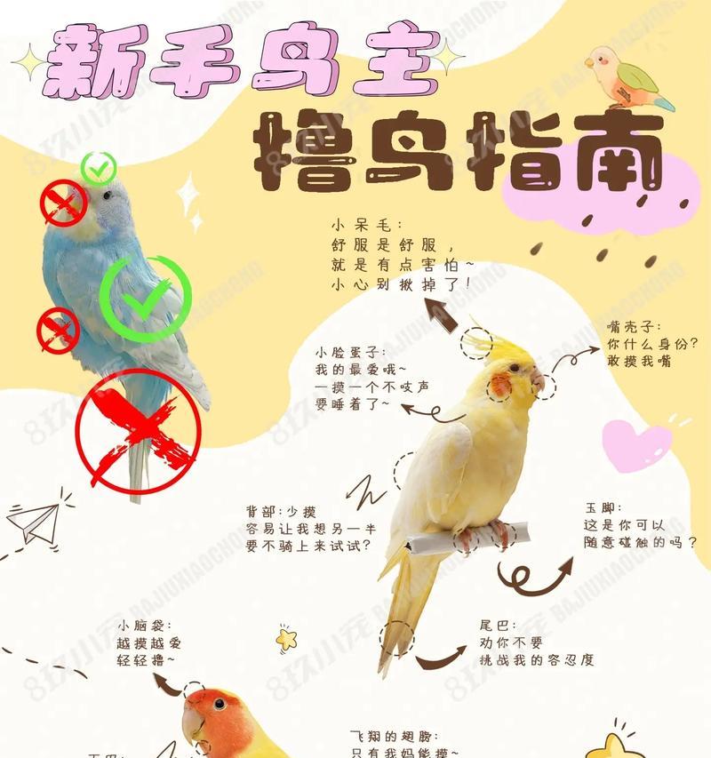 云鸫驯服的正确方法是什么？驯服后有何用途？