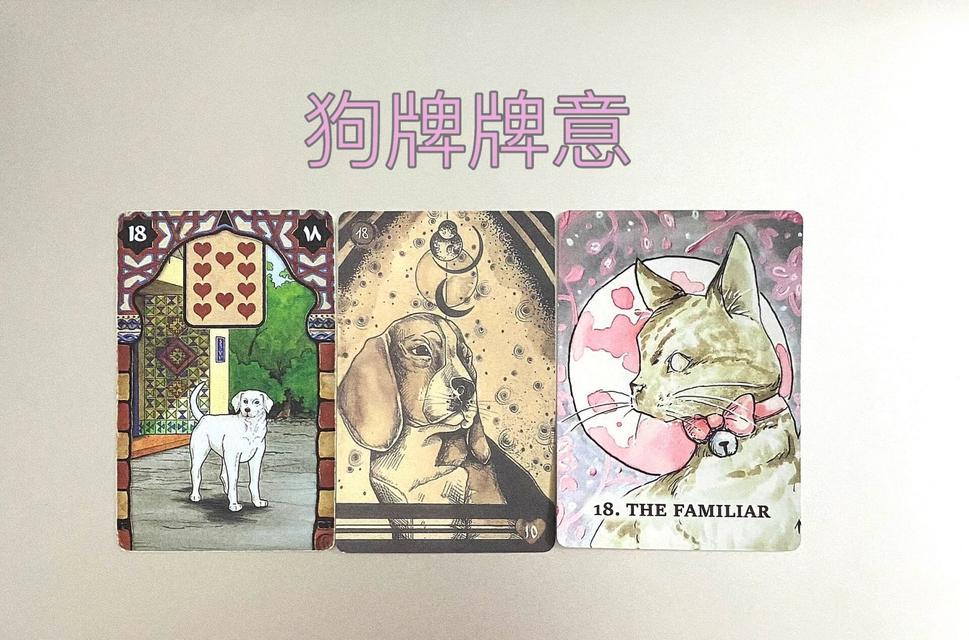 狗牌更新后如何查看新样式？