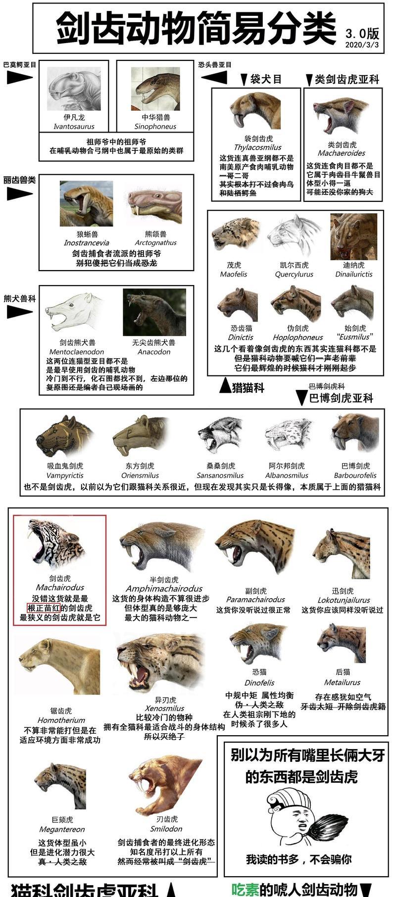 部落任务中的老虎如何击败？有哪些技巧？