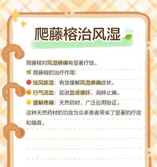 藤树技能升级需要哪些条件？