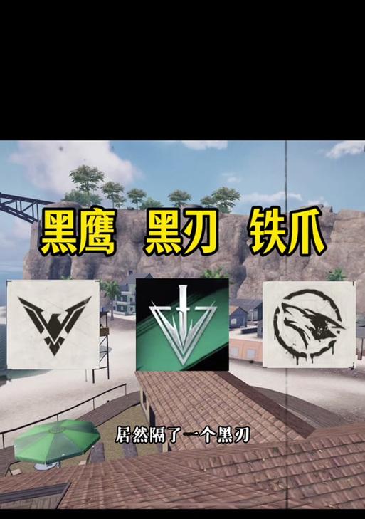 cf黑鹰性能如何？适合哪种玩法？