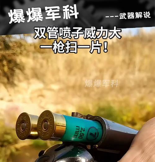 cf喷子fwtps是什么意思？如何正确使用？