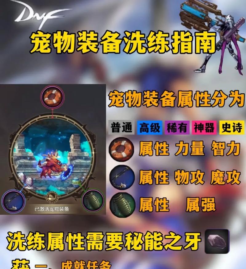 地下城宠物装备带什么？如何选择最合适的宠物装备？