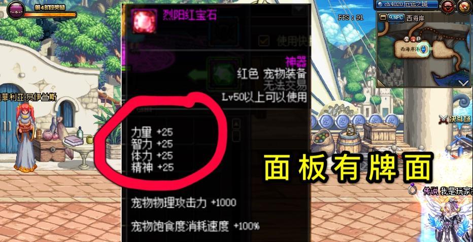 地下城宠物装备带什么？如何选择最合适的宠物装备？