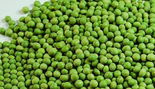 cf绿色豆子需要多少豆？绿色豆子有何特殊用途？