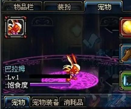 DNF中最早的绝版宠物是什么？获取方式有哪些？