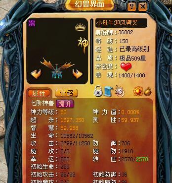 魔域龙骑士原生宠的用途是什么？如何有效利用？