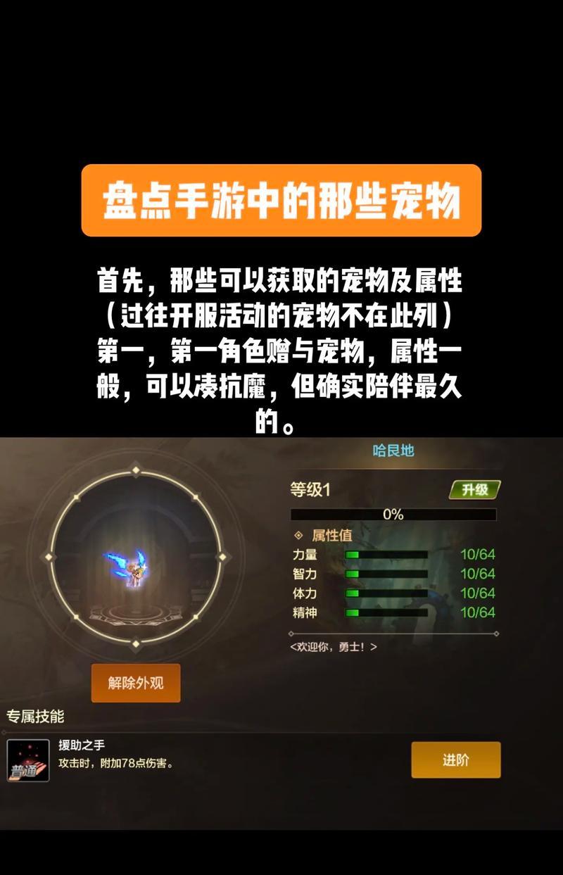 地下城流浪武士宠物选择技巧是什么？如何挑选最强宠物？