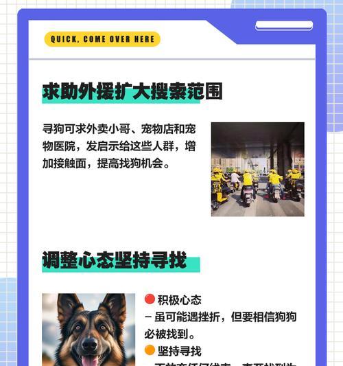 宠物丢失后如何找回？找回宠物的几率大吗？