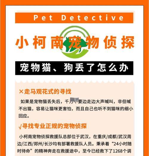宠物丢失后如何找回？找回宠物的几率大吗？