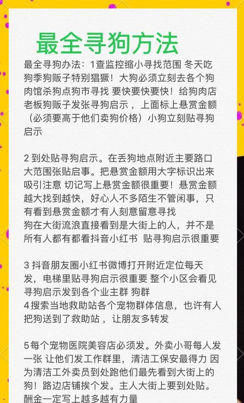 宠物丢失后如何找回？找回宠物的几率大吗？