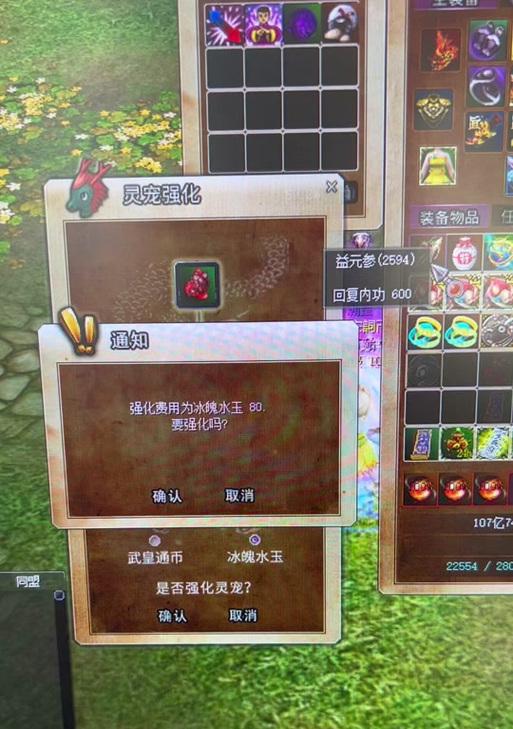 热血江湖中灵兽不攻击怪物的设置方法是什么？