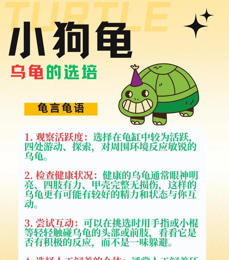 白龟的背景故事是什么？它在完美世界中的作用？