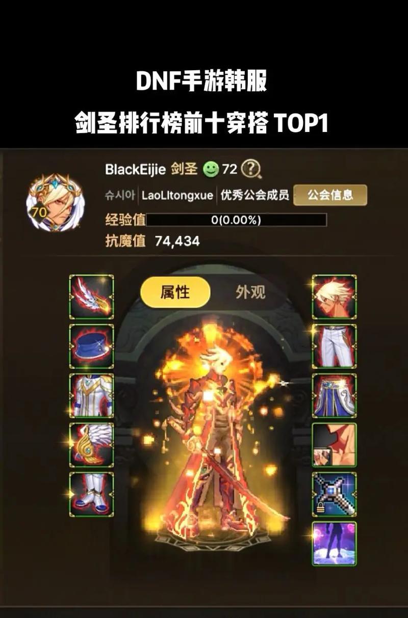 dnf剑圣110级应该选择哪种属性强化？如何选择最有效？